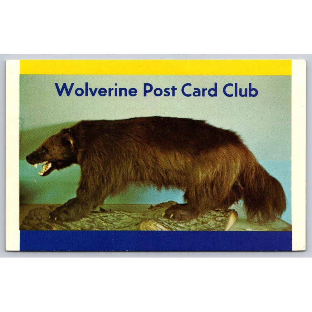 Postcard Michigan Detroit Wolverine Post Card Club c1950s Unposted MI